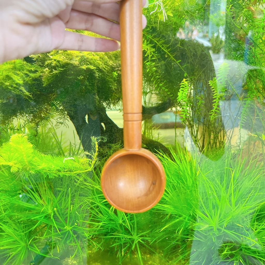 Gáo dừa múc rượu - Gáo dừa TRÒN