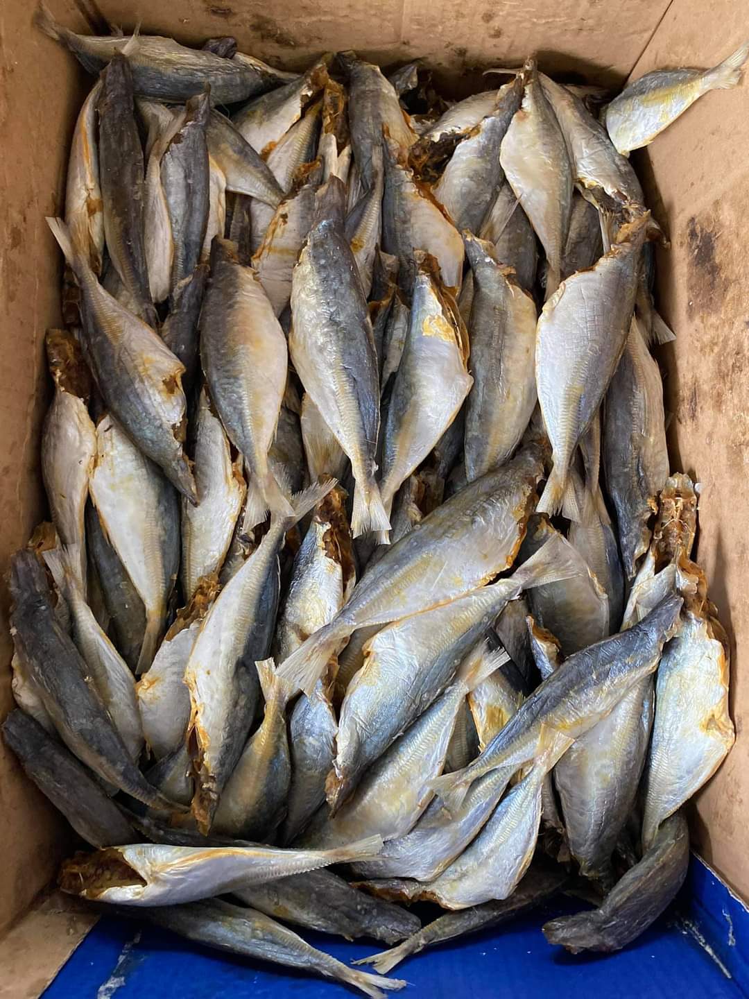 1KG CÁ NỤC KHÔ Vị hơi mặn