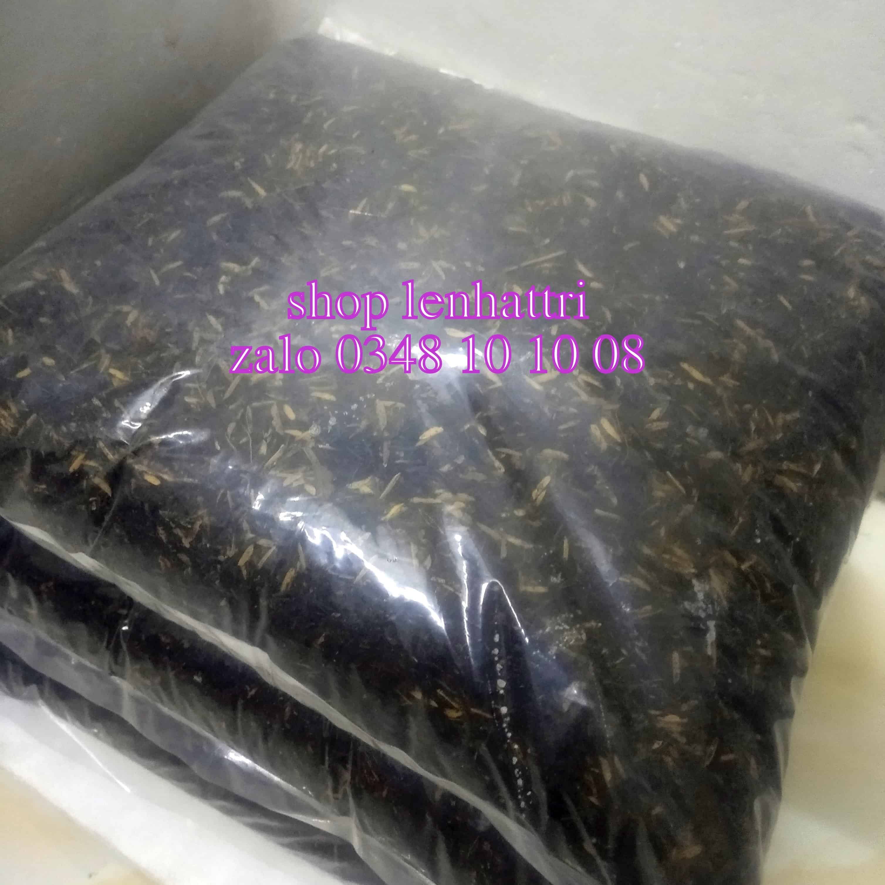Đất trồng sứ 1kg