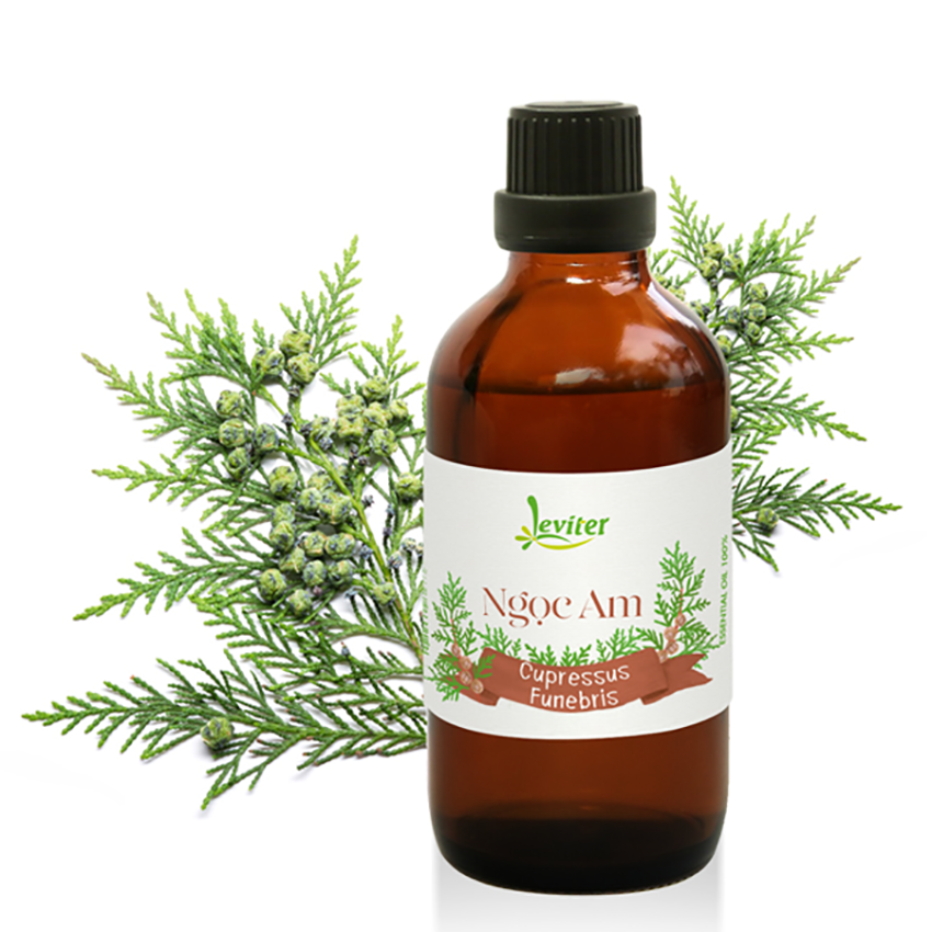 Tinh Dầu Leviter Gỗ Ngọc Am 100ml nhẹ nhàng