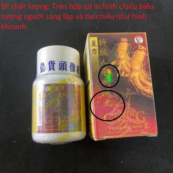 NHÂN SÂM PHONG THẤP - ĐẶC CẤP (GINSENG PLUS FENG SHI WAN) – HỖ TRỢ XƯƠNG KHỚP
