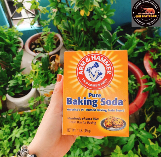 Baking Soda Powder 454g - Imported from America