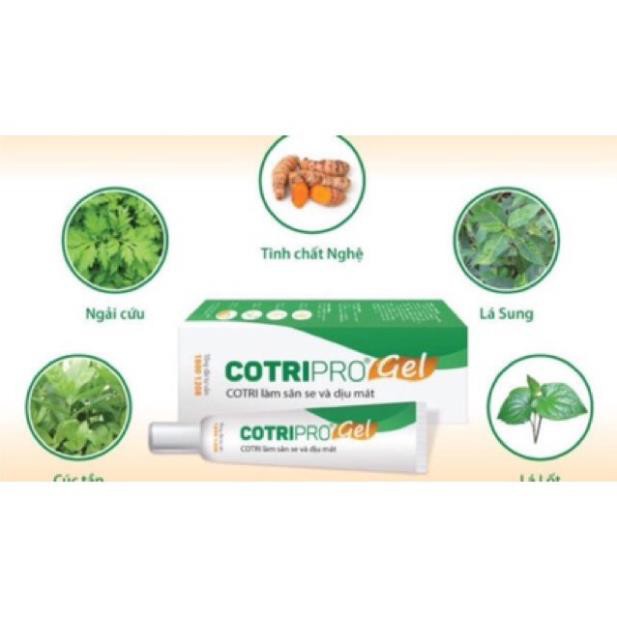 COTRIPRO - Gel Bôi Trĩ Nội, Trĩ Ngoại