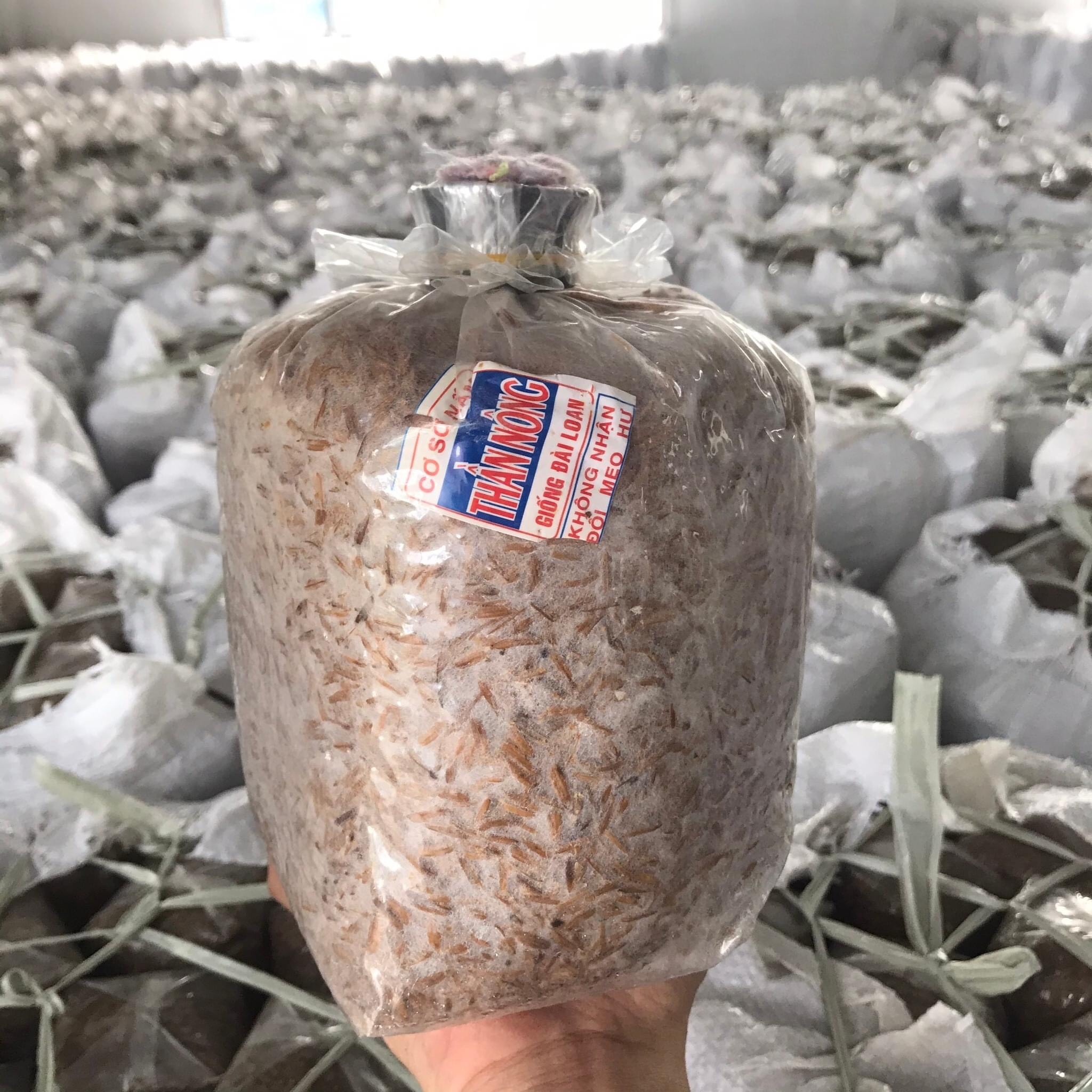Combo 5 Meo Nấm Rơm Thần Nông (550g)