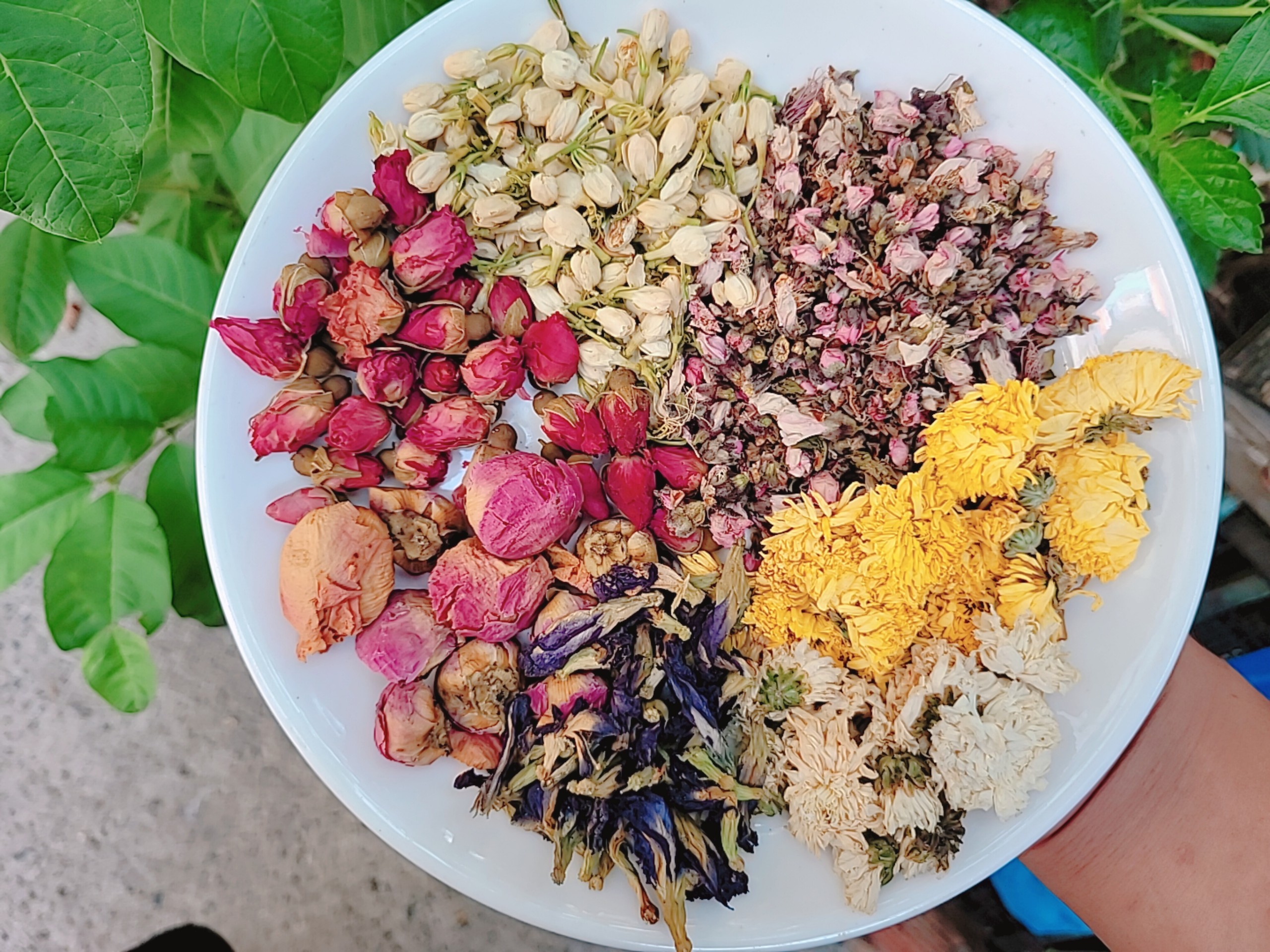 combo trà hoa bát bửu 15 gói
