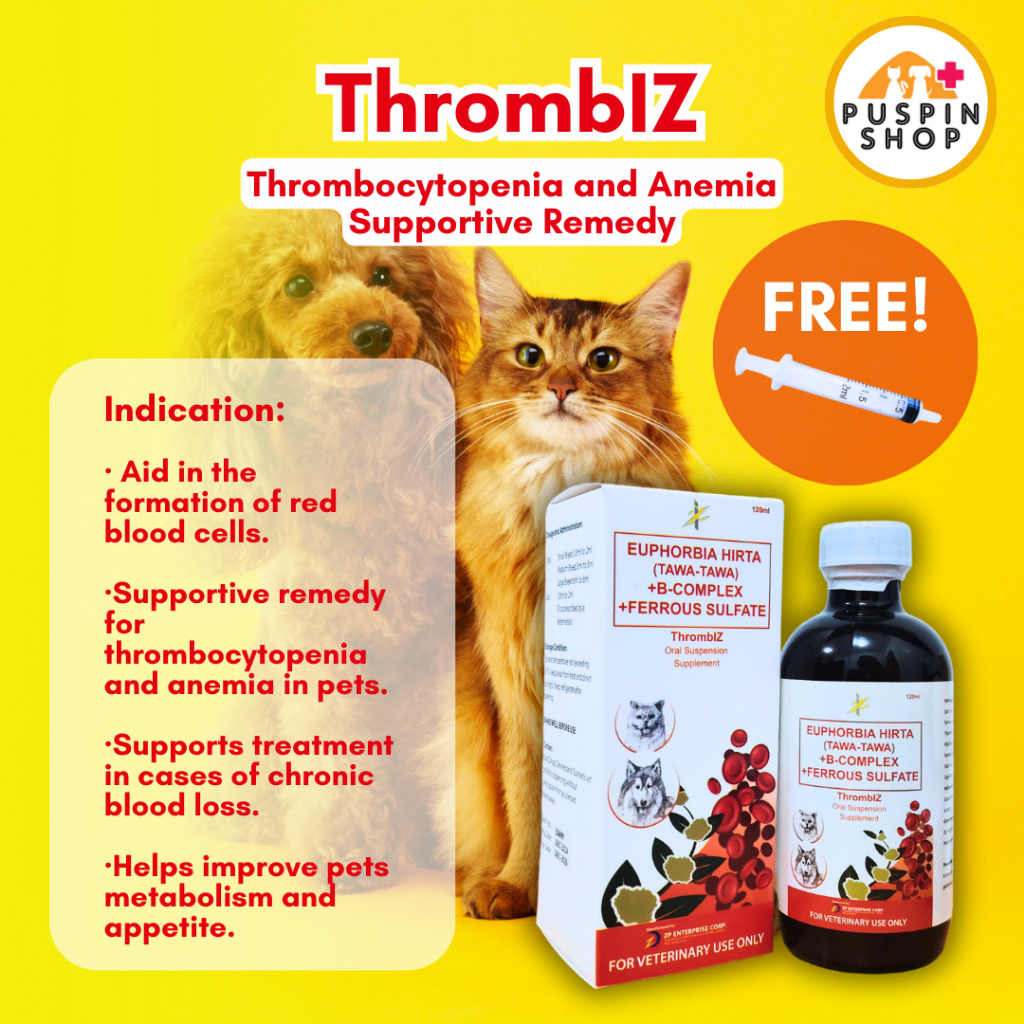 Chronic Anemia Anemia In Dogs Symptoms IMHA (Immune-Mediated