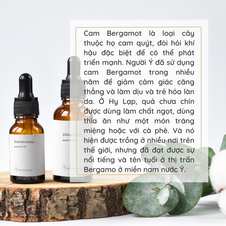 Tinh Dầu Xông Phòng, Massage Cam Hương Bergamot Thơm Xông Phòng, Chiết Xuất Thiên Nhiên, Chai 10ml