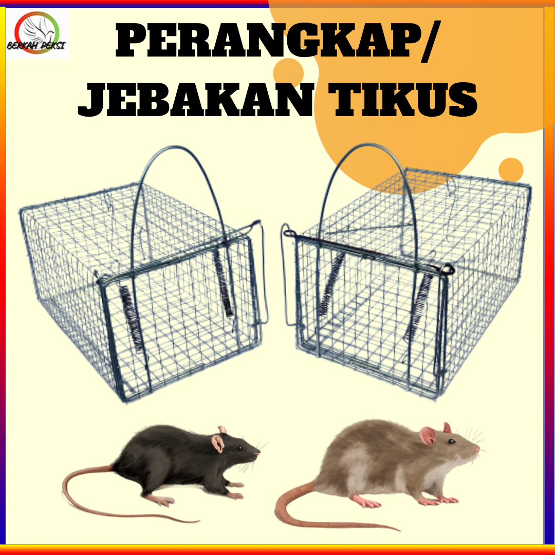 PERANGKAP JEBAKAN TIKUS EFEKTIF MENANGKAP TIKUS TIDAK BISA KABUR