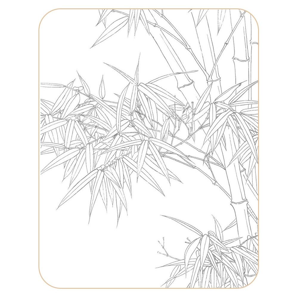 PROVEN Characters Hand Painted Tutorial Book Hand Drawn Sketching Tracing Sketch Book Professional Chinese Drawing Copy Book Art Class