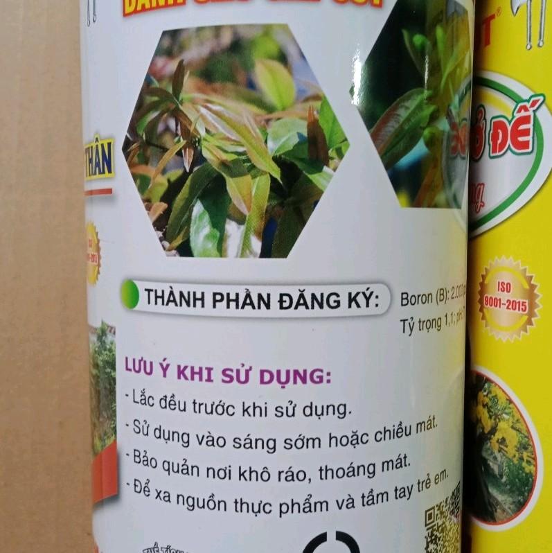 Max root - Bung đọt ra rễ mai vàng
