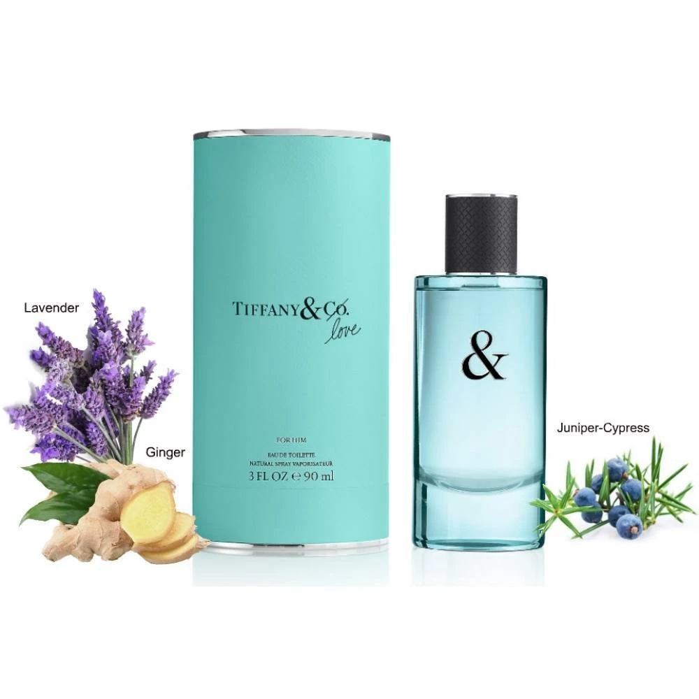Tiffany & Co Tiffany & Love for Him for Men Edt 90 ml - HQ (High