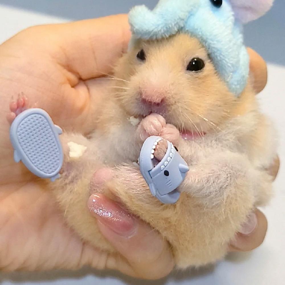 chanclas para hamster