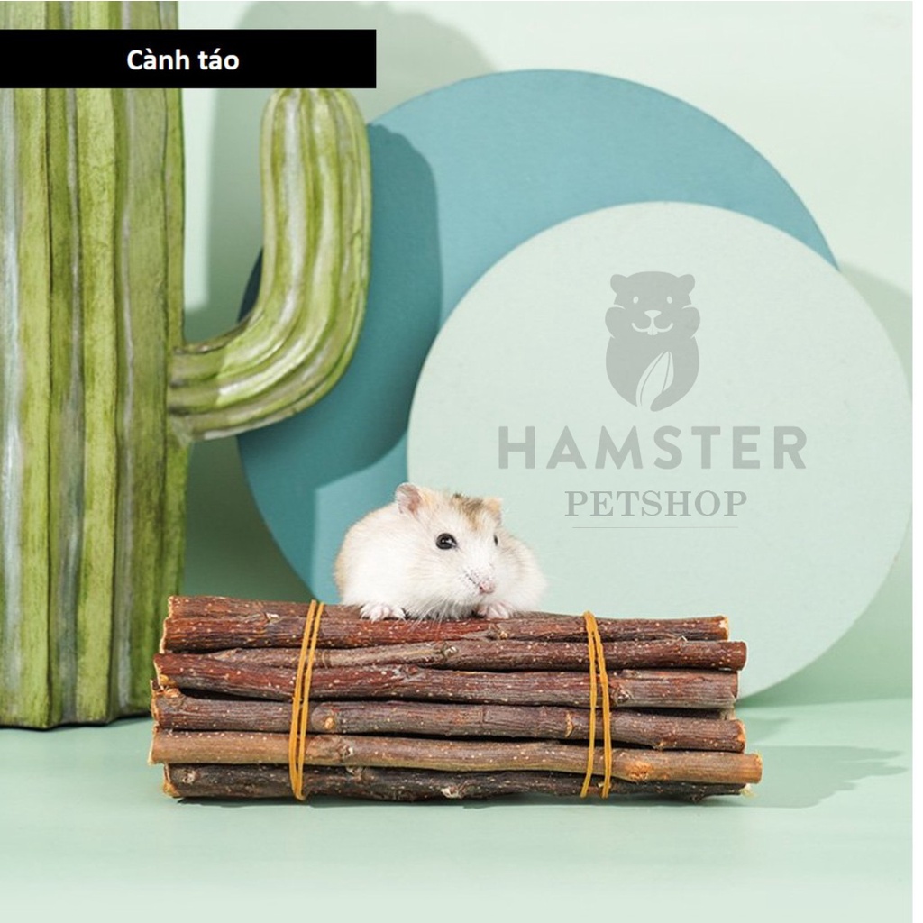 Cành táo mài răng cho Hamster