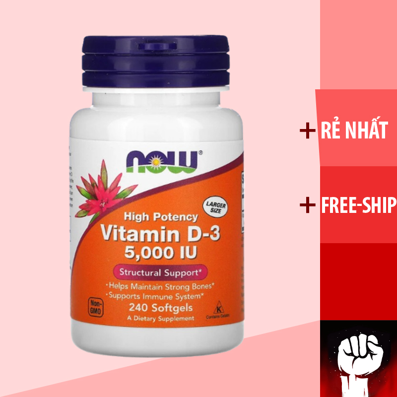Vitamin D3 | Now Vitamin D3 5000IU 240 - 120 viên - Tăng Đề Kháng - Chính Hãng - Muscle Fitness