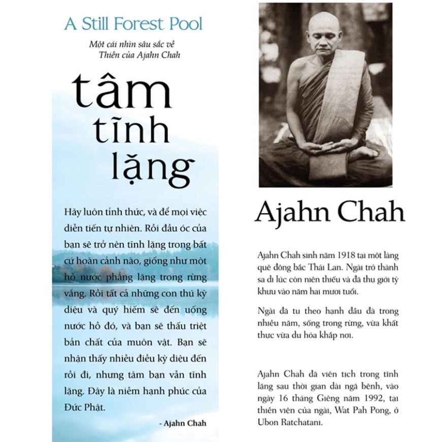 Tâm Tĩnh Lặng ( VL )
