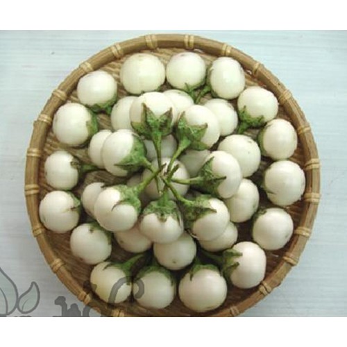 Hạt giống cà pháo trắng - gói 1 gram