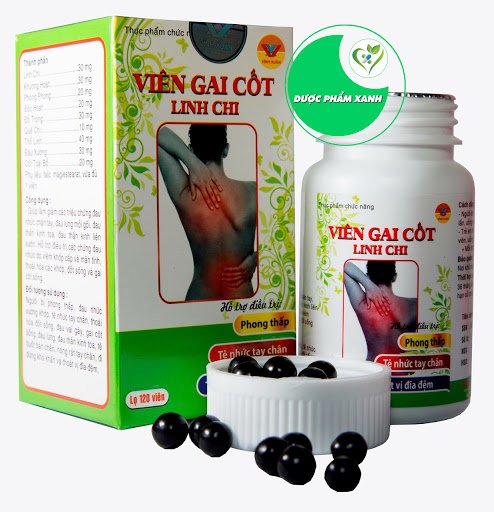 VIÊN GAI CỐT LINH CHI 120V