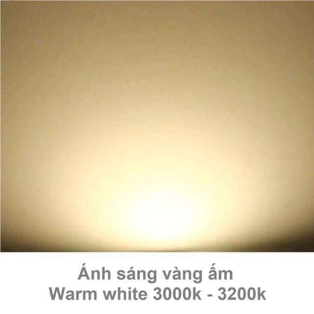 Led bulb 9w Rang Dong