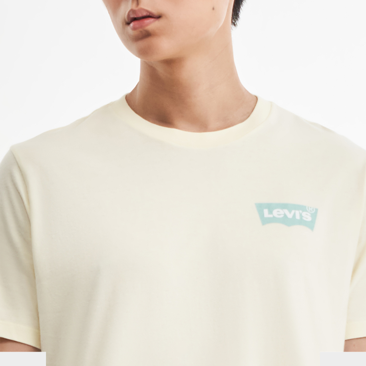 Levis Housemark Graphic Tee Levis® Mens Classic Graphic T-Shirt 22491-1509  Lazada Lazada PH