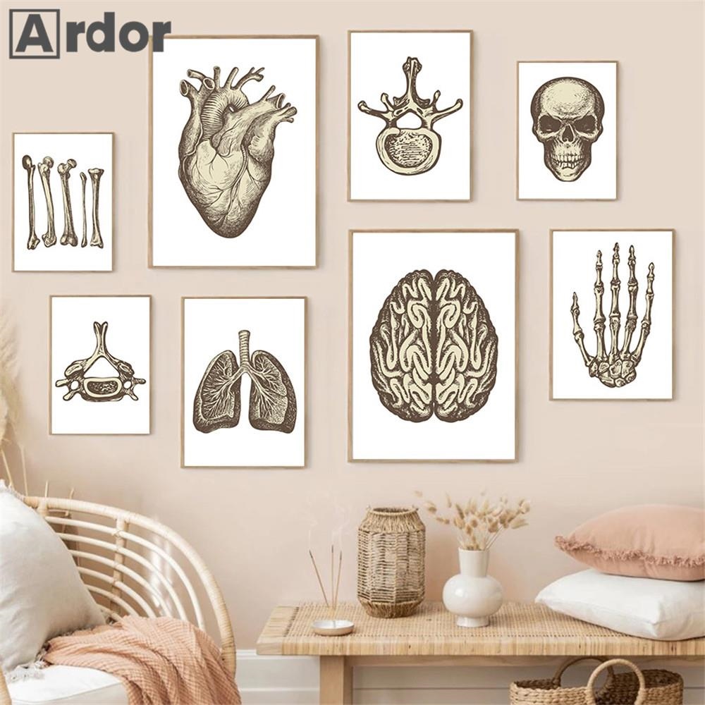 Vintage Human Body Anatomy Artwork Medical Clinic Wall Picture Skeleton  Organ Muscle Canvas Painting Posters Prints Room Decor | Lazada