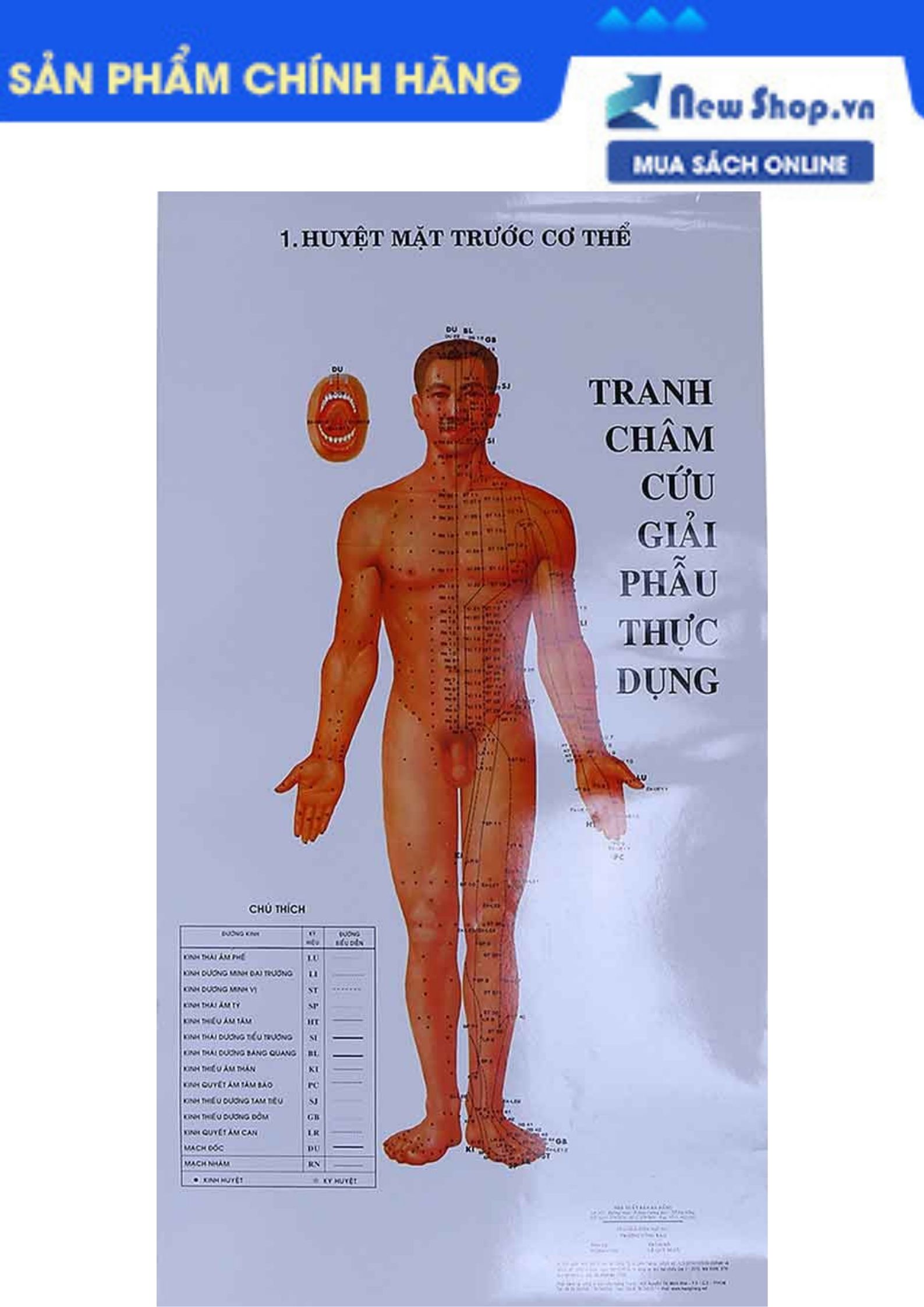 Sách tranh châm cứu giải phẫu thực dụng - qb - newshop