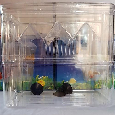 Lồng Đẻ 2 Ngăn Dành CHo Cá 7 Màu(Guppy)