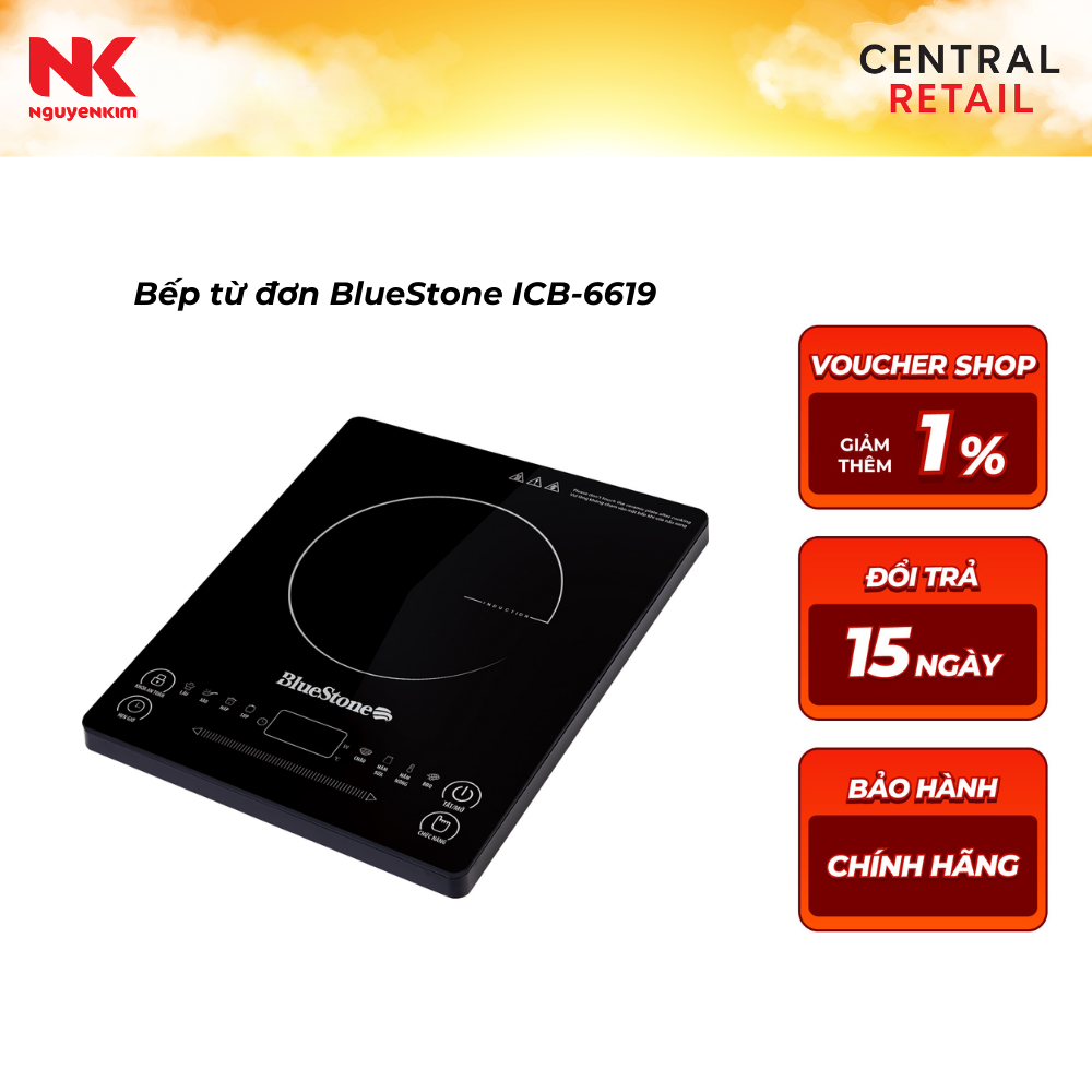 Bếp từ BlueStone ICB-6619