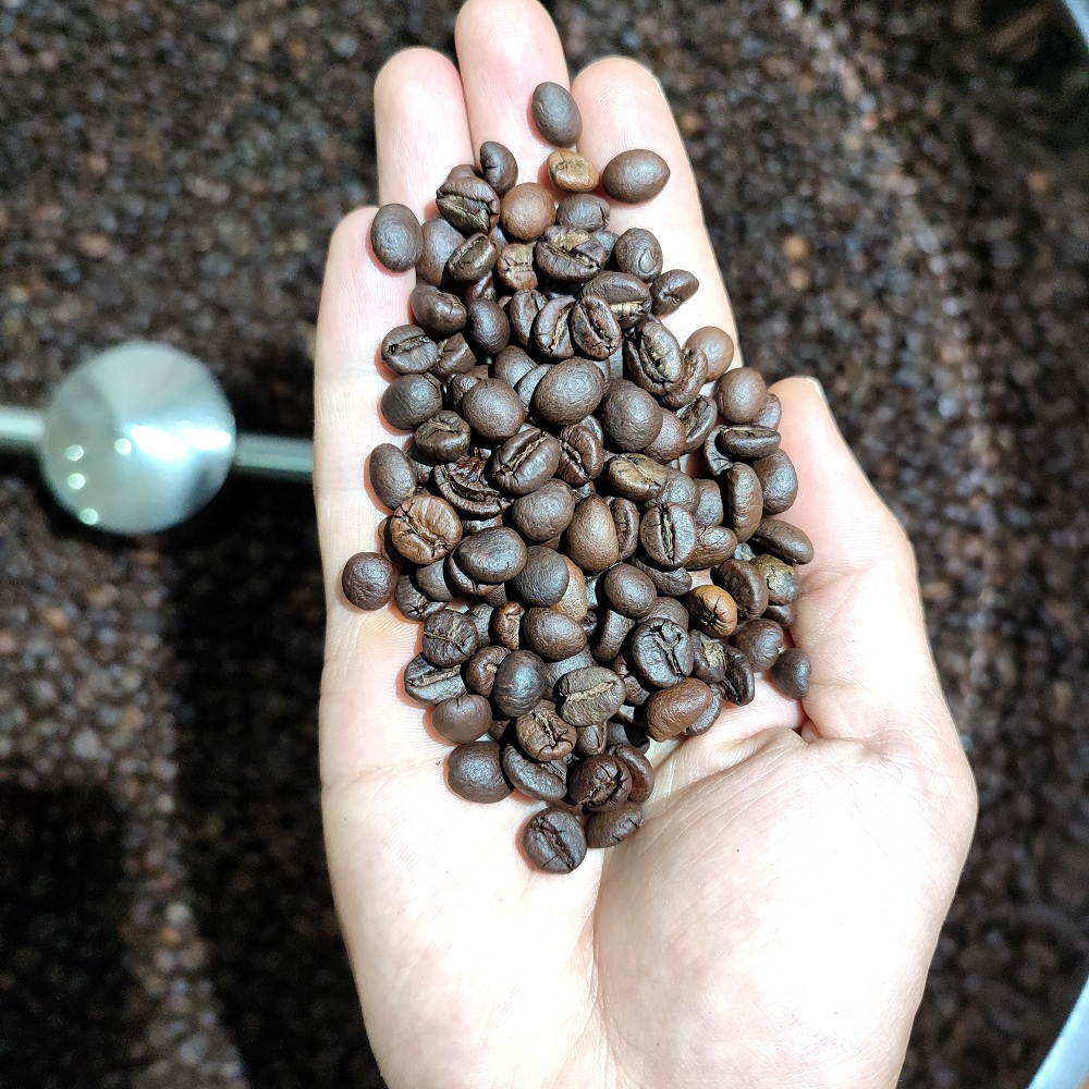 Cà phê Robusta Đắk Lắk [500g/ 1 túi] - 100% Cà phê mộc rang xay nguyên chất - TBCAFE
