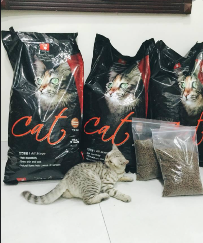 Thức ăn hạt khô cho mèo Cat Eye 13,5 kg ( 13.5 kg ) - Apr2026