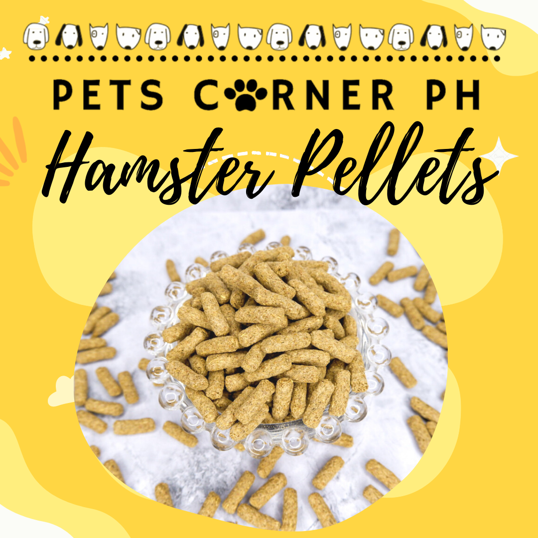 Special Pellets treats for hamsters repacked/trial version 50g Lazada PH
