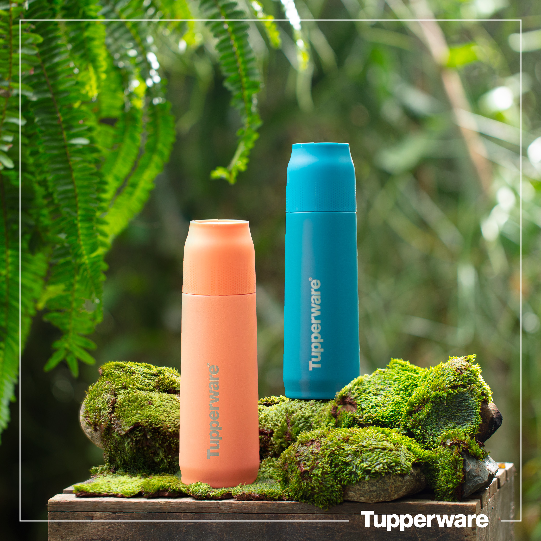Bình giữ nhiệt Tupp Buddy 520ml - Tupperware