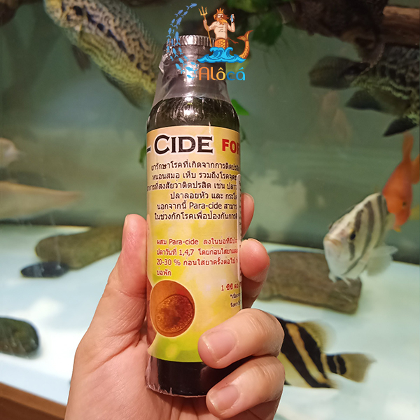CZ18 Paracide d'iệt sán, ký sinh trùng bên ngoài cho cá Rồng, cá Koi, cá cảnh.