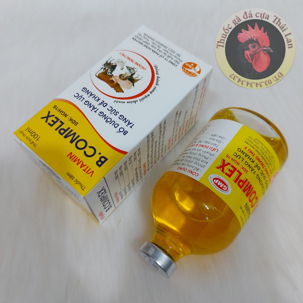 Vitamin B complex (bổ dưỡng tăng lực , tăng sức đề kháng) - 1 lọ / 100ml