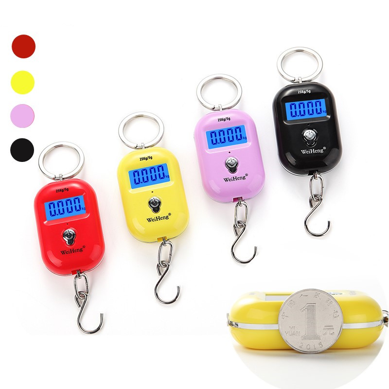 【InnovateWorld】25Kg X 5g Keychain Scale Mini LCD Portable Electronic ...