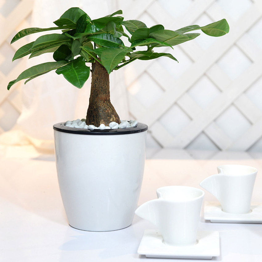 Lazy Flower Pot Outer And Inner Pot Imitation Porcelain Series Garden Plastic Self Watering Flowerpot With Cotton Rope