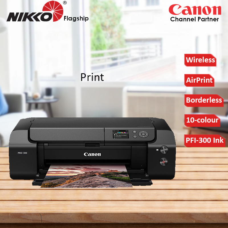 canon pro 300 ink