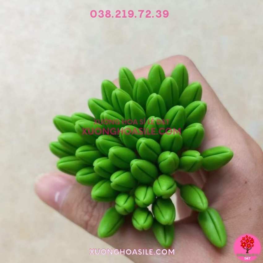 [HCM]NỤ MAI GIẢ, NỤ MAI ĐẤT SÉT