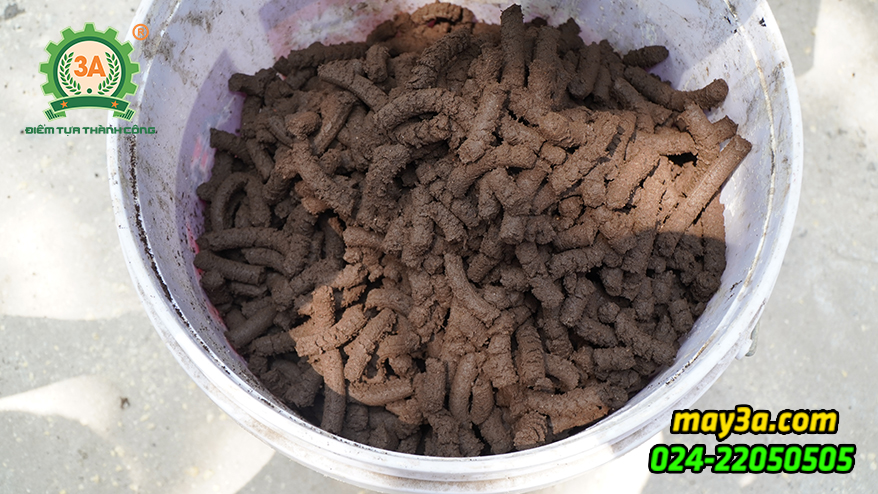 Máy ép phân trùn quế viên nén 3A15Kw
