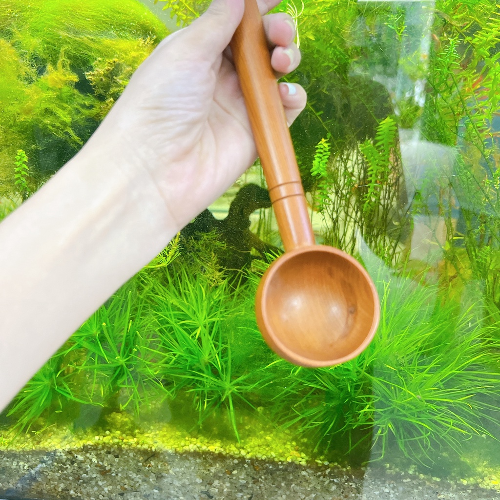 Gáo dừa múc rượu - Gáo dừa TRÒN