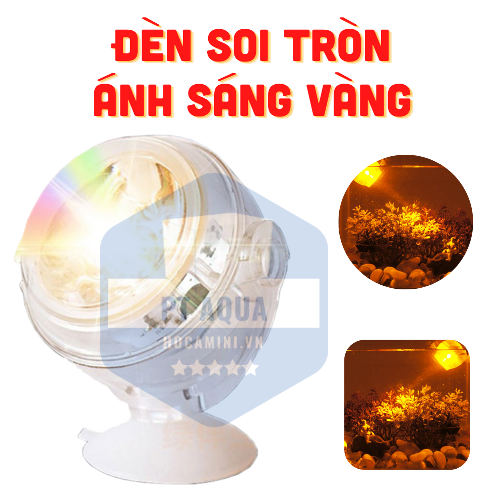 [Hoàn Tiền 10%] Đèn Tròn soi bể cá hiệu ứng đẹp các loại