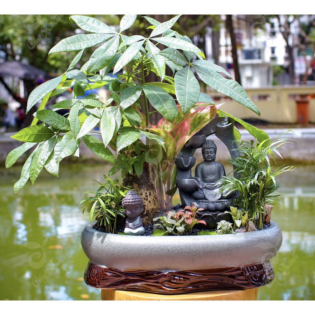 Thác nước phong thuỷ Phật