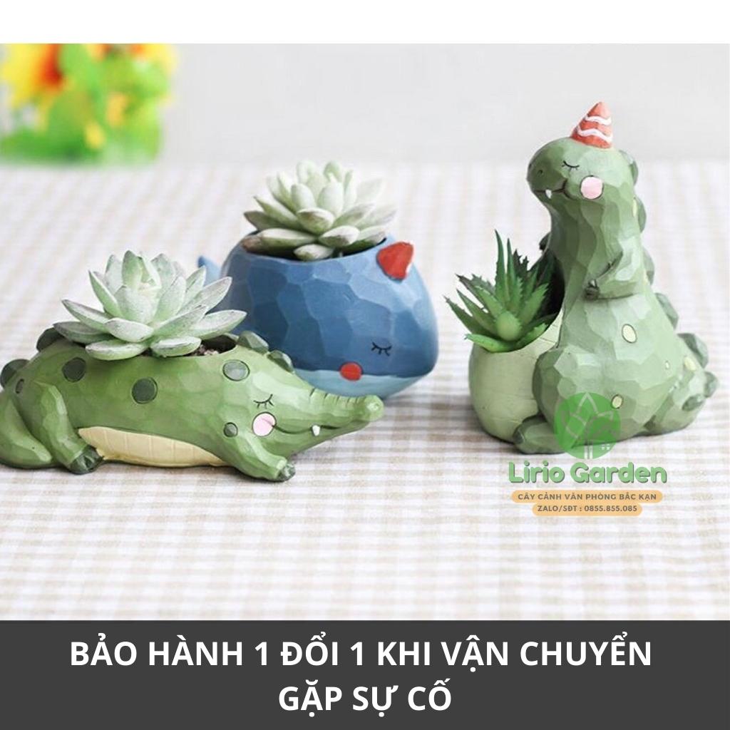 chậu trồng cây hình khủng long xanh [ tặng kèm đất trồng cây ]