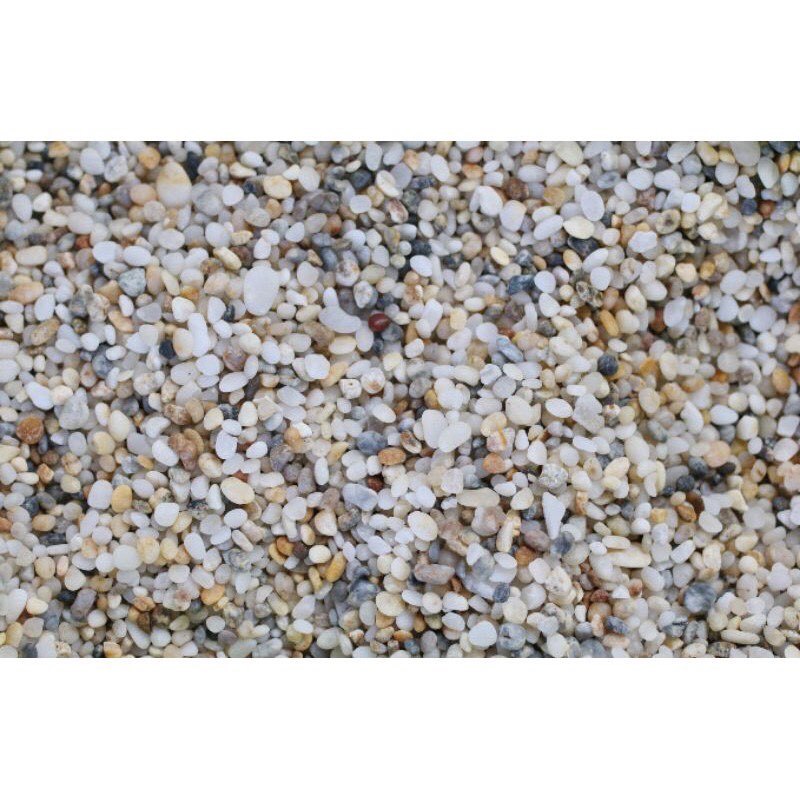 SỎI TRẮNG TRÃI NỀN HỒ THỦY  (5kg)