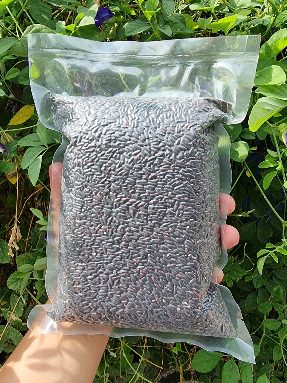 1 KG GẠO LỨT ĐEN VÙNG TÂY BẮC