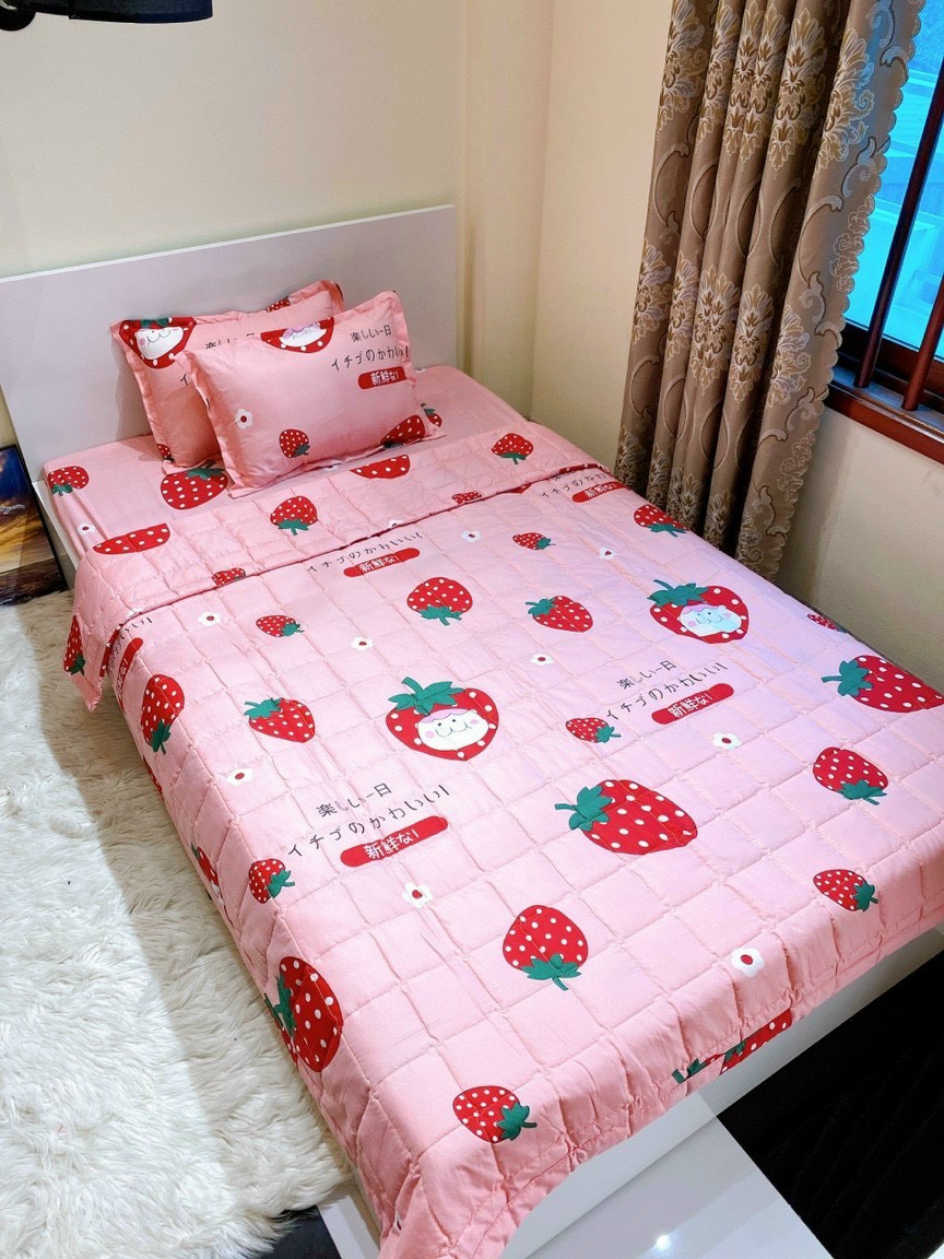 Bộ ga gối 3 món 10cm 15cm 20cm đủ kích thước mẫu cành hoa cúc xanh