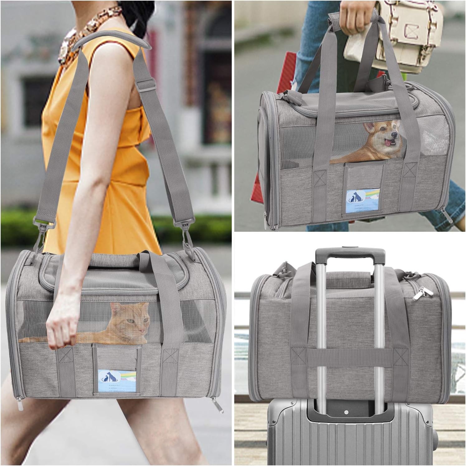  SECLATO Pet Carrier Airline/TSA Approved Small Dogs, Kitten,  Carriers for Small Medium Cats Under 15lb, Collapsible Soft Sided Cat  Travel Carrier-Grey : Everything Else