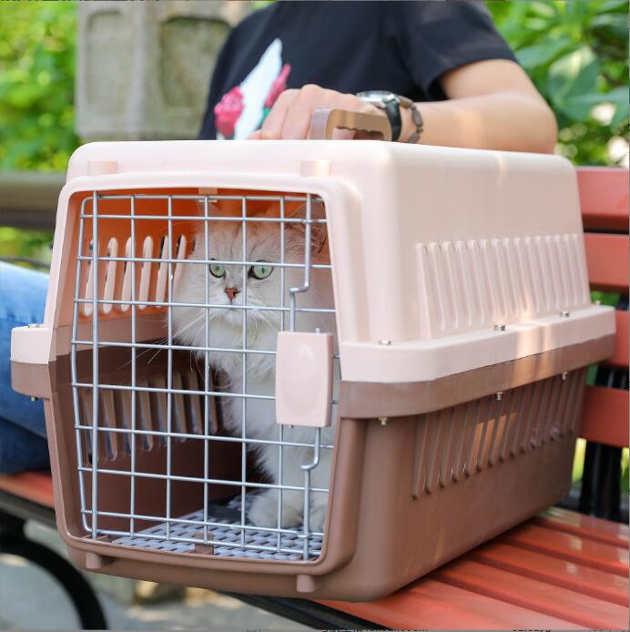 airport cat carrier