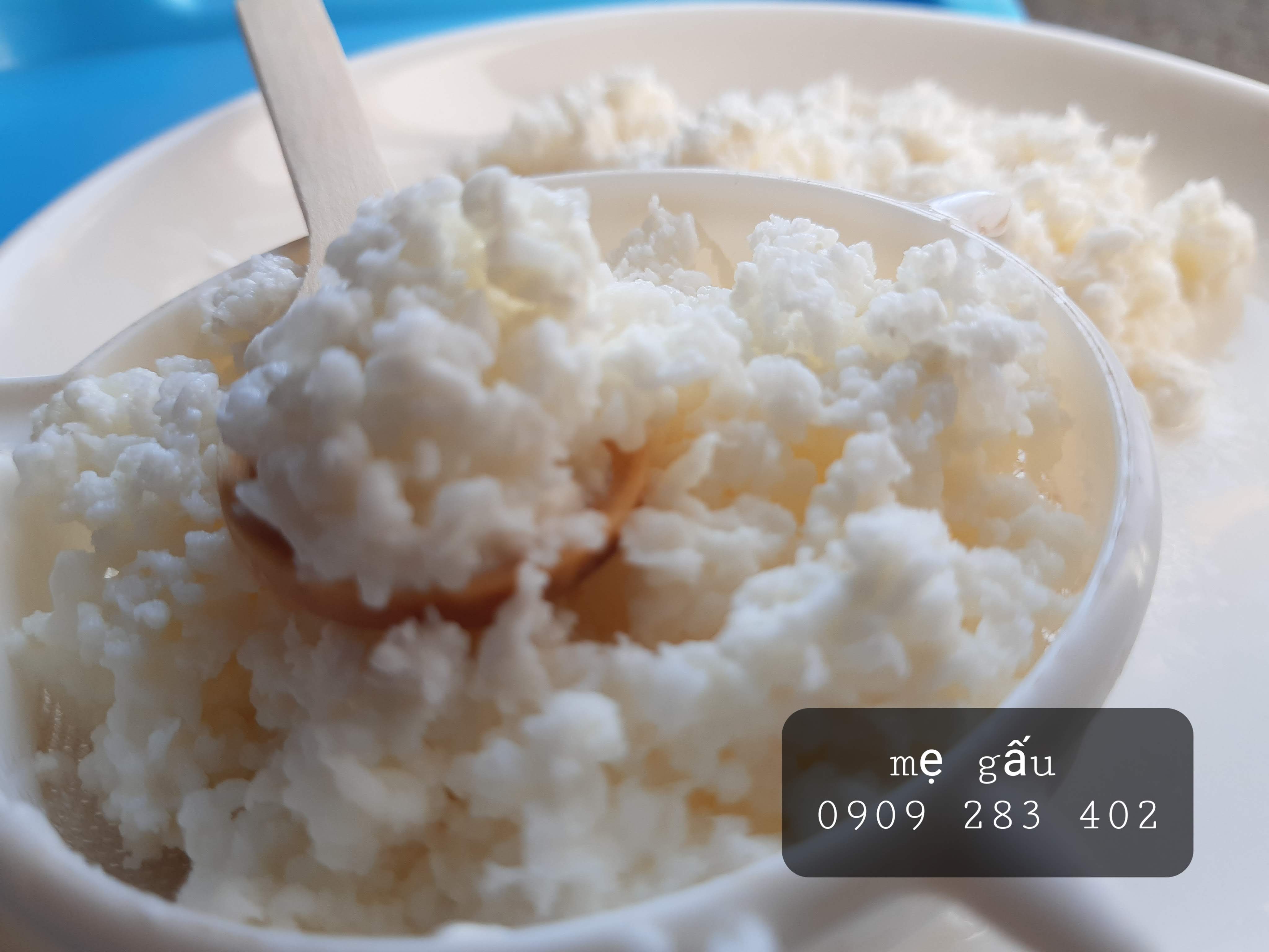1 phần nấm sữa kefir + 1 muỗng gỗ/sứ