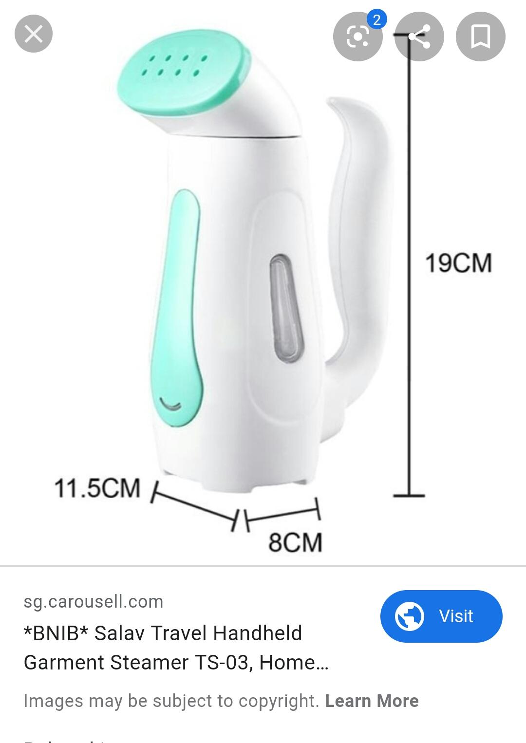 salav travel garment steamer