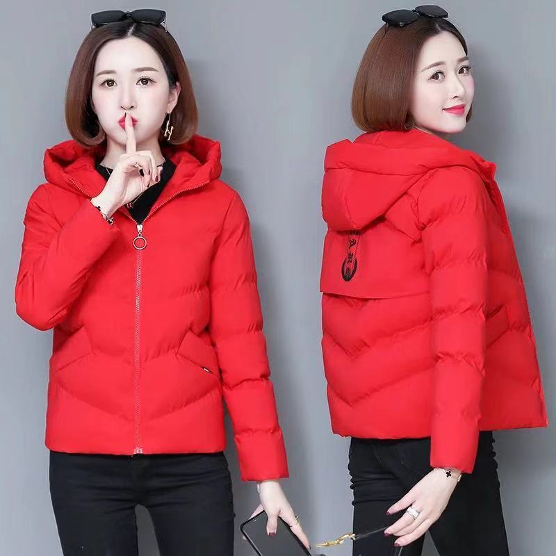 Buy Ladies Jackets - Jacket For Women Online - Monte Carlo – Page 2-anthinhphatland.vn